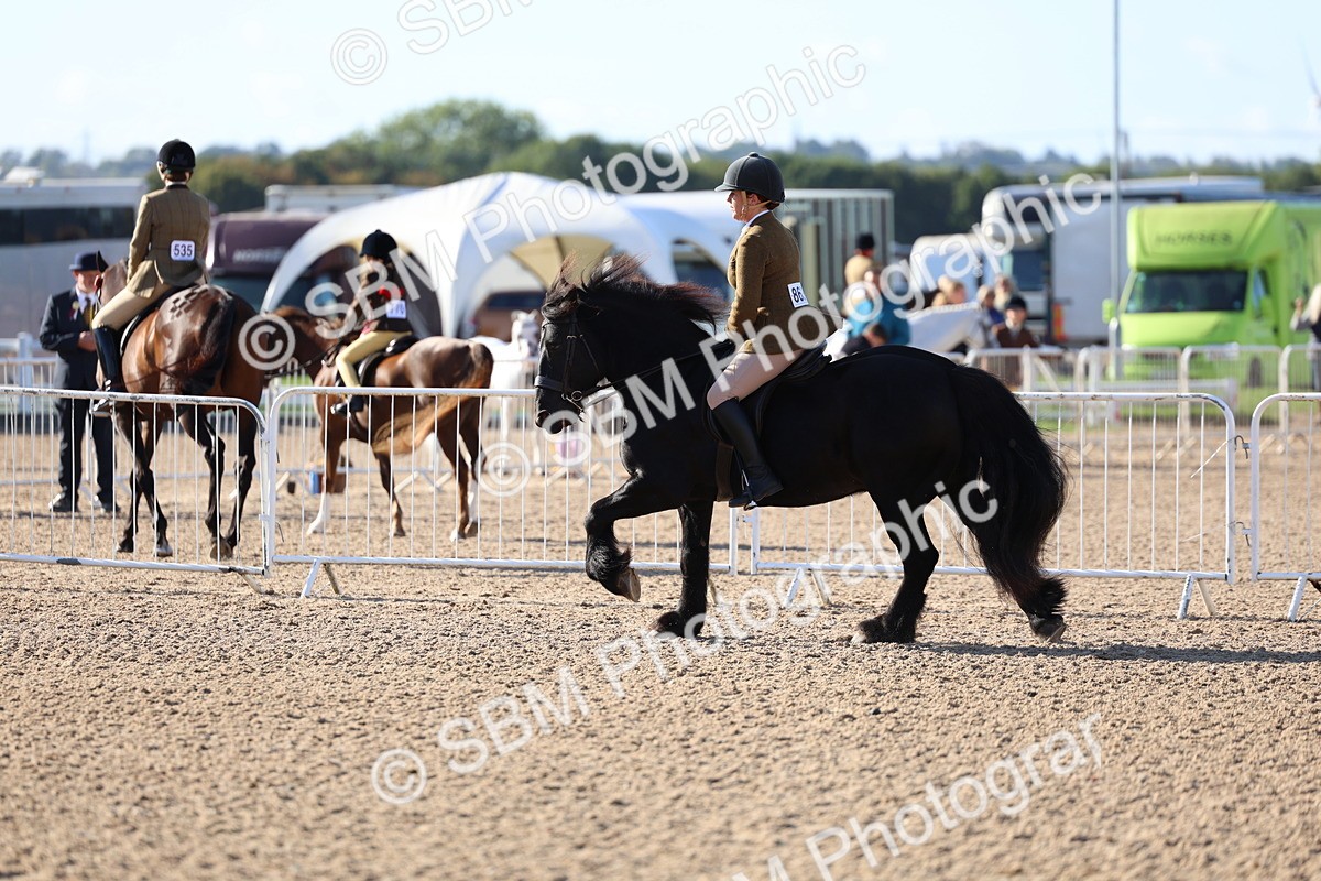 SBM_08882 - Class 302 - Ridden M&M - Large Breeds