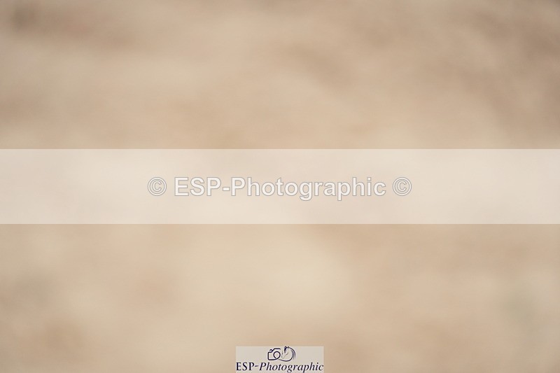 230924A-120122-04692 - 100 SJ 12.00 to End