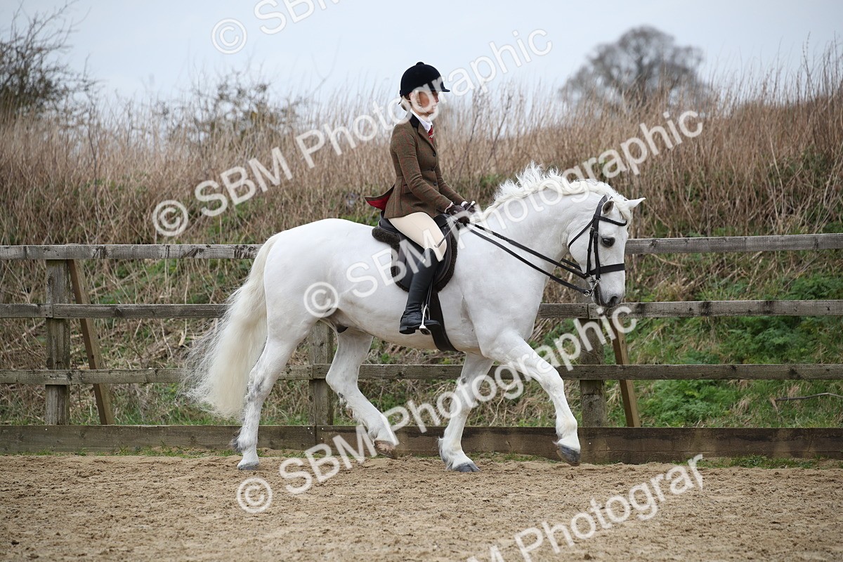 SBM_006297 - Class 10-13 - RIHS Small Large Breeds