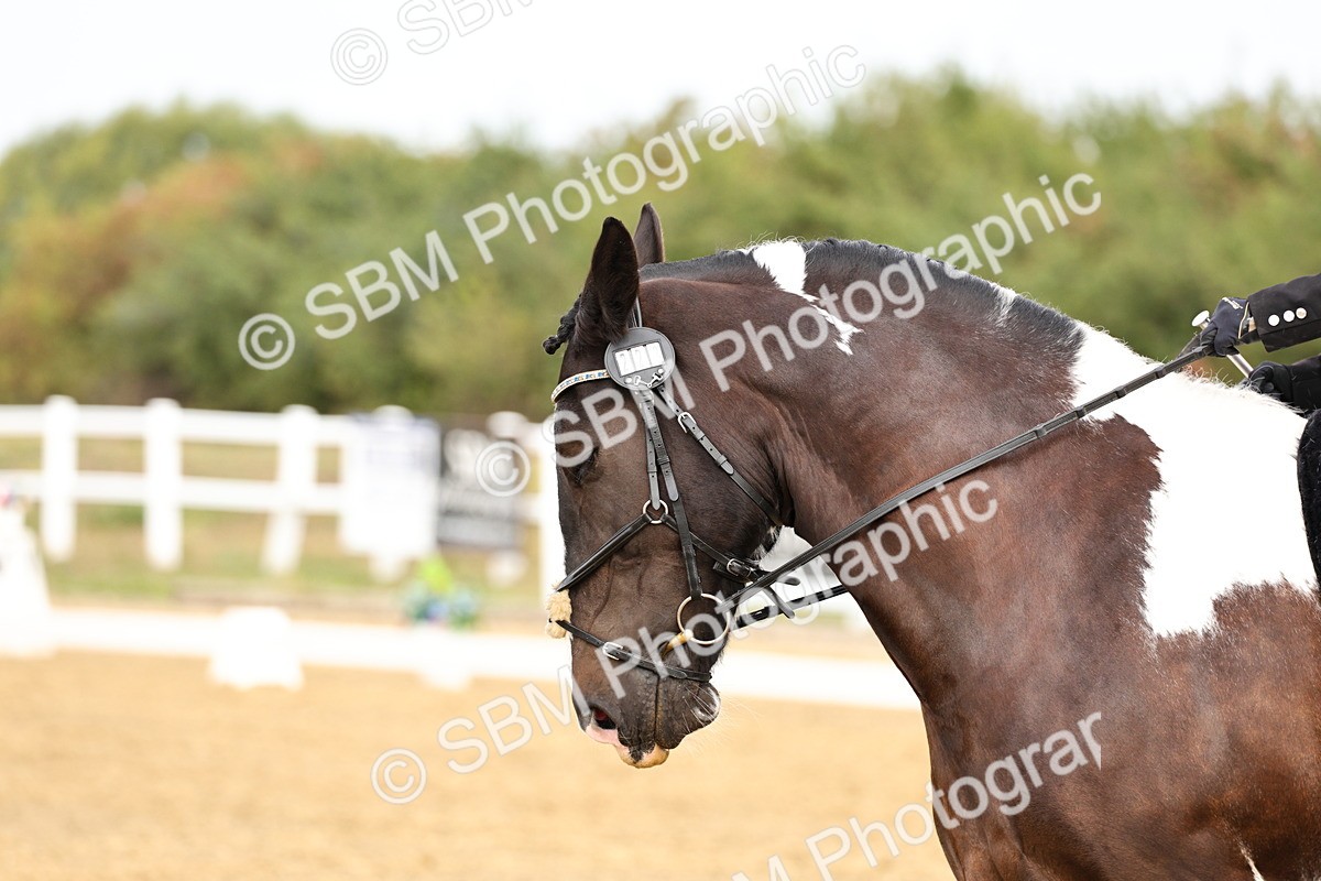 SBM_012211 - Class 2 - Prelim 5