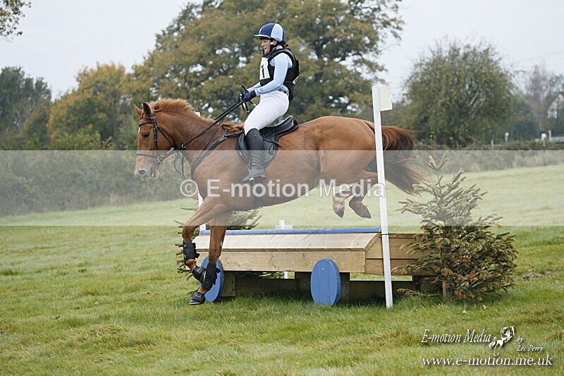 WWHT 181020 WWHT 181020 178 - WWEC Novice Restricted (0.80m) 18/10/20