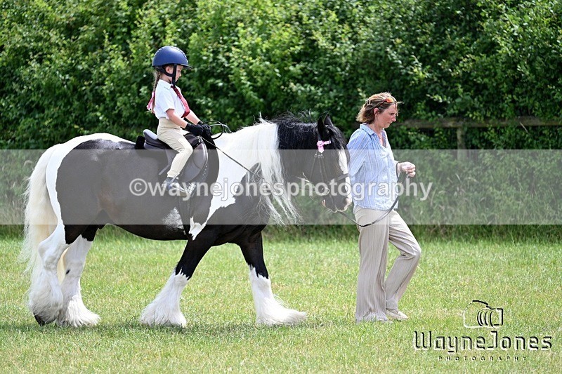 WJ7_8283 - Nancy And Churchill SORC summer show 21-06-26