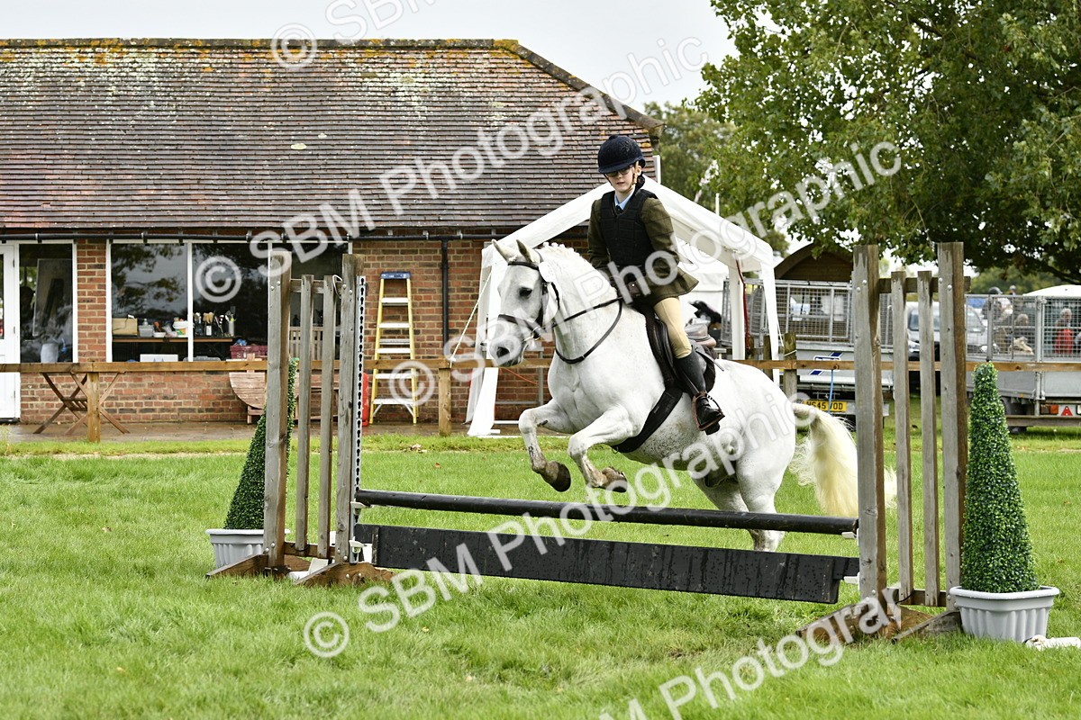SBM_45580 - S33 - Working Hunter Pony