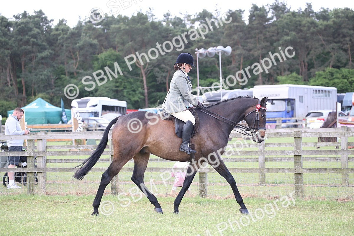SBM_14138 - Class 113-114 - Retraining of Racehorses Ridden