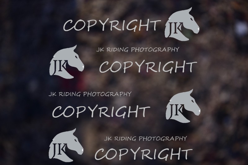 SBP_1416 - 11am - 12pm