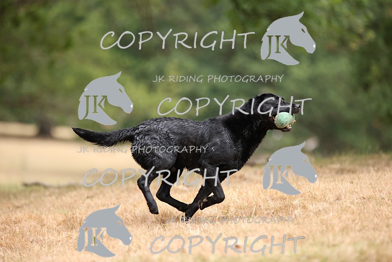 2R6A3510 - ​TEAM A: BORDER COUNTIES & COTSWOLDS 1-2-3