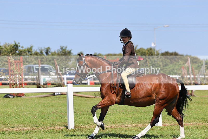 IMG_2008 - Class 34: Show Hunter Pony 153cm and under