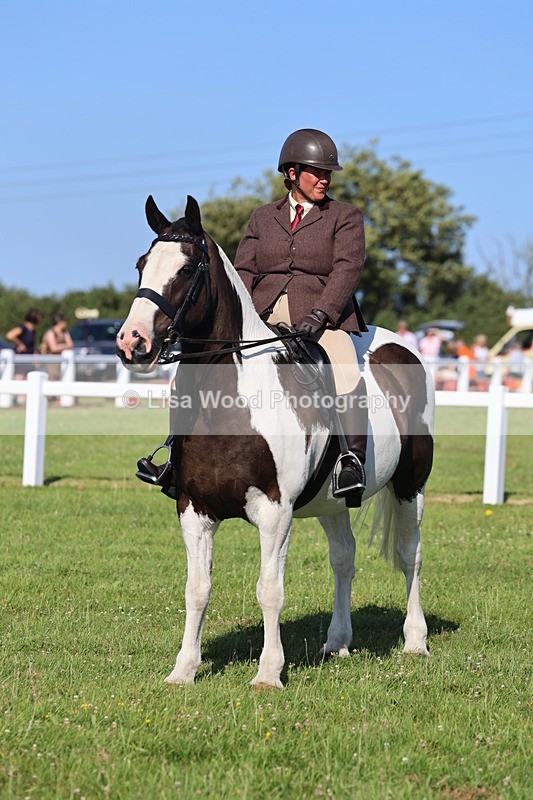 IMG_1565 - Class 30: Ridden Native/Trad Coloured Pony