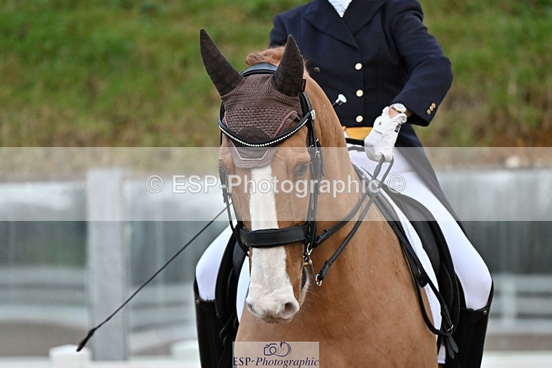 241214-152909-03256 - 109-Katharine.Lewis-Albertho.B