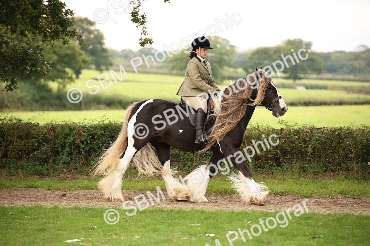 SBM_73424 - S68 - Traditional Cob Ridden