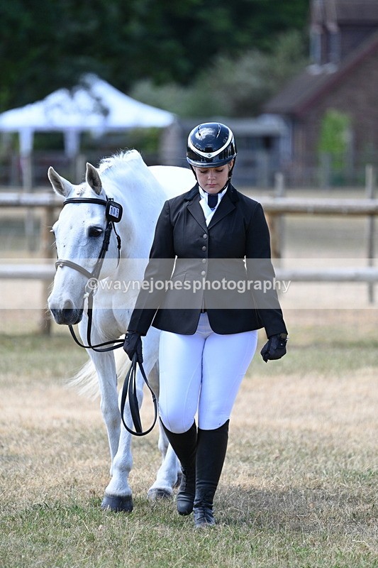 WJ7_2303 - Class 5a Most Handsome Gelding in hand (above 14.2hh)