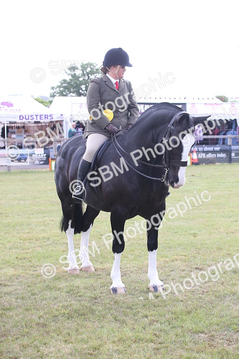 SBM_11156 - Class 92-93 - LIHS BSHA Rising Star Cobs