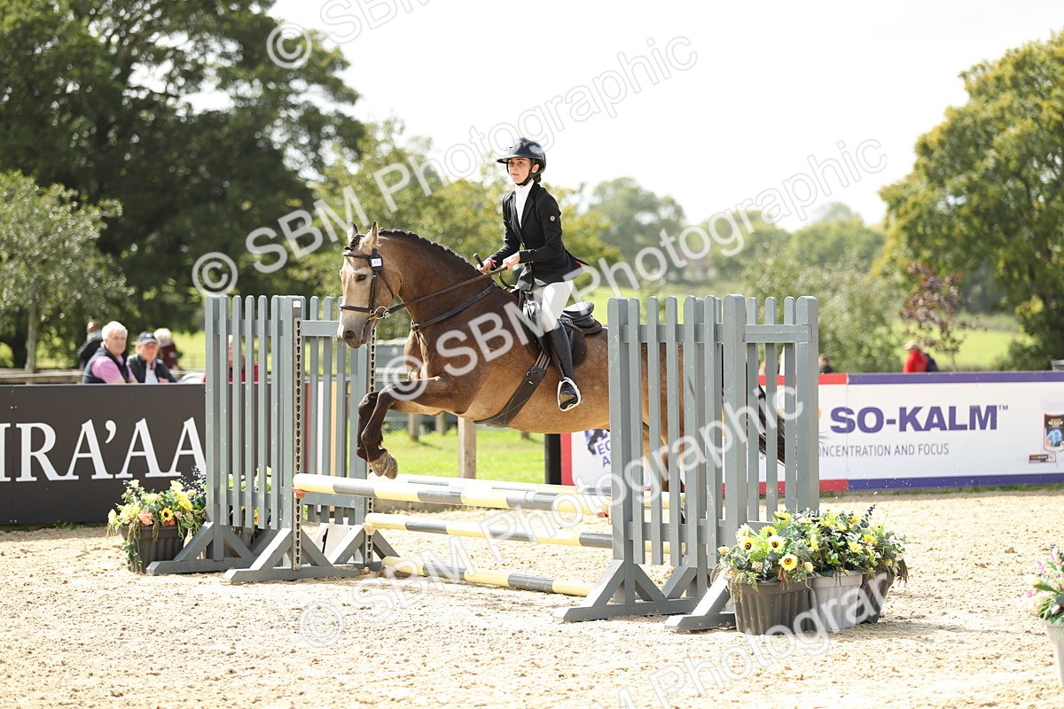 SBM_06396 - J29 - Senior Horse & Pony 65cm Championship