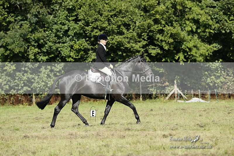 BVRC 120921 261 - Bourne Valley Riding Club UA Dressage & Show Jumping 12/09/21