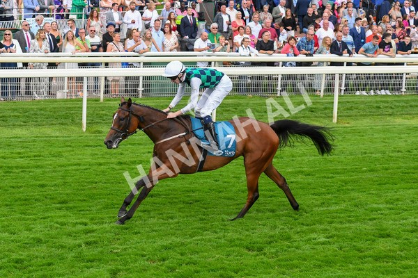 280723-Race 5-Midnight Mile-0549 - Race 5 7.15pm British EBF 40th Anniversary Lyric Fillies' Stakes