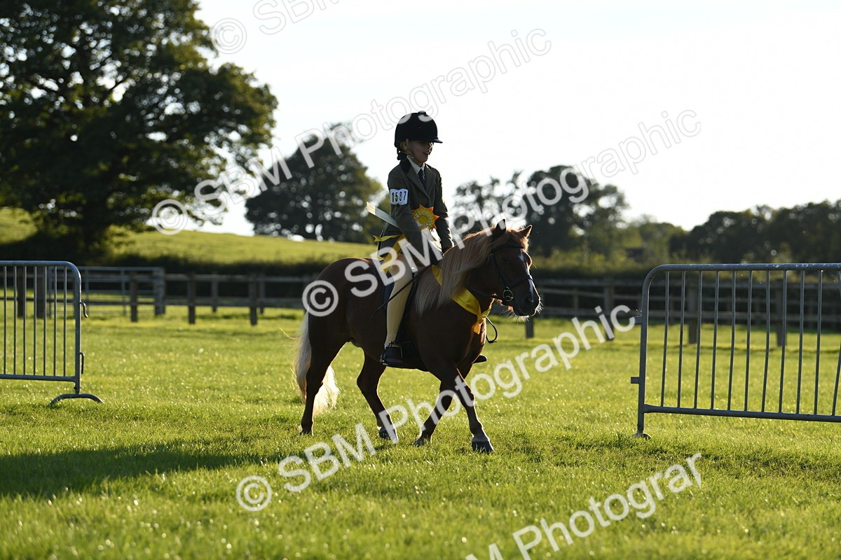 SBM_54201 - S23 - 1st Ridden Mountain & Moorland Pony