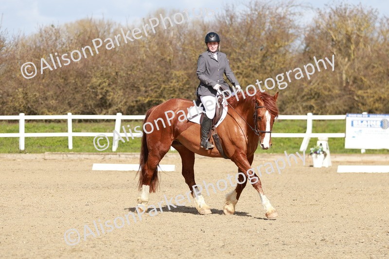 20260314-2847 - DR3 - Prelim 1