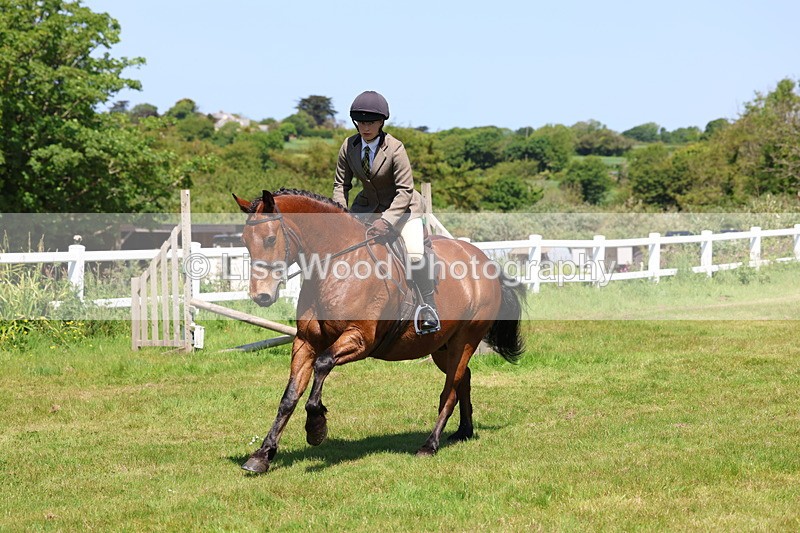 3E7A7282 - Class 30: Novice Working Hunter