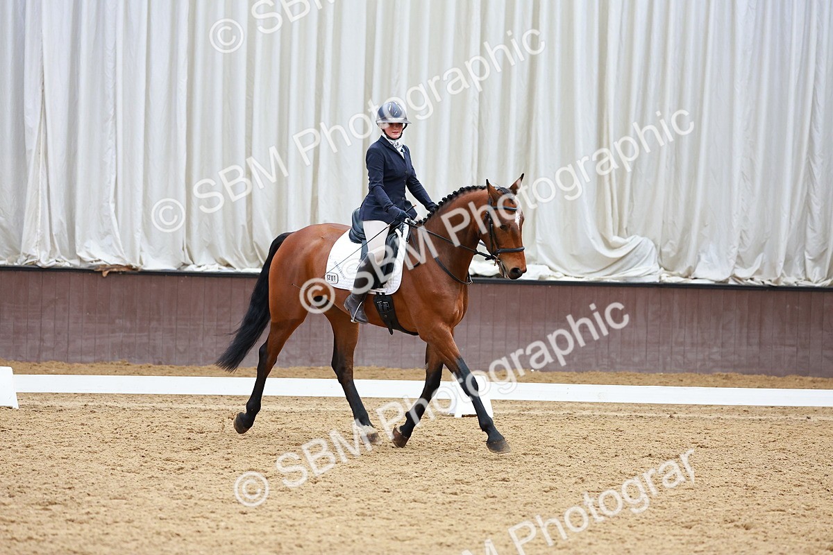 SBM_003276 - Class 11 - Novice 2