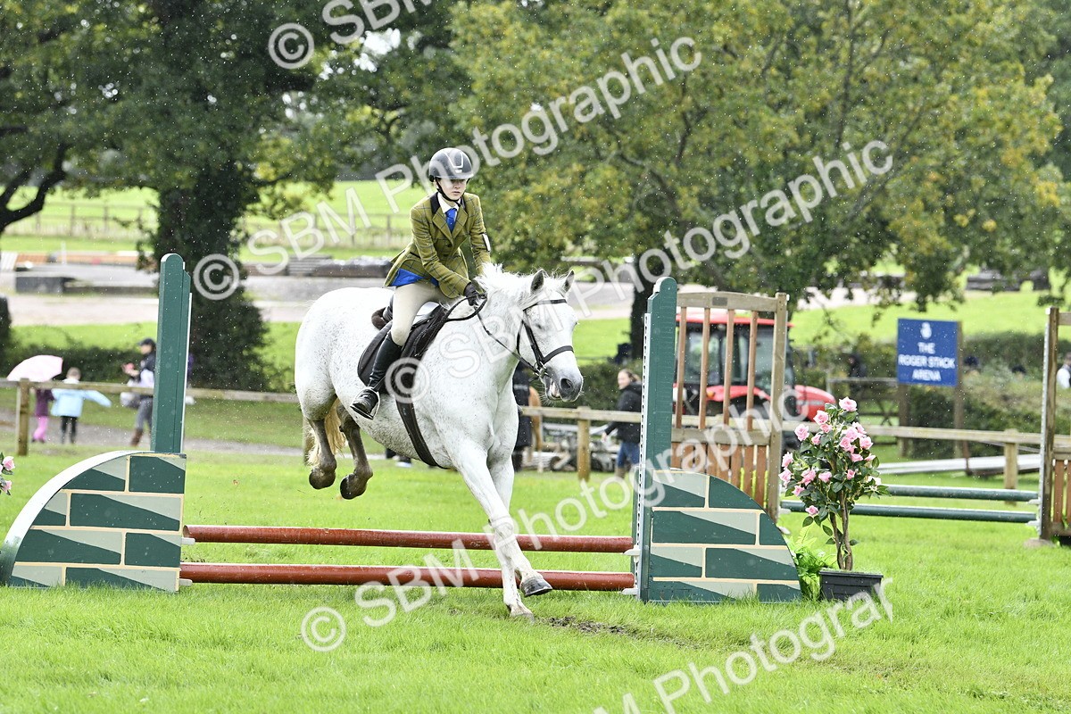 SBM_41422 - S32 - Mountain & Moorland Working Hunter Pony