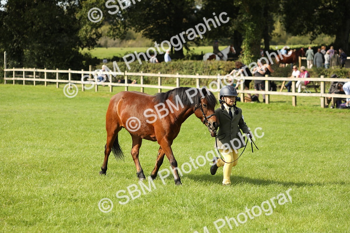 SBM_68589 - S40 - Junior Handler 9-12 Years