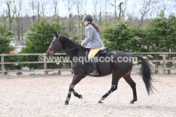 BPP_7553 - RING 1  (RIDDEN HORSES / IN HAND / VETERAN ETC)