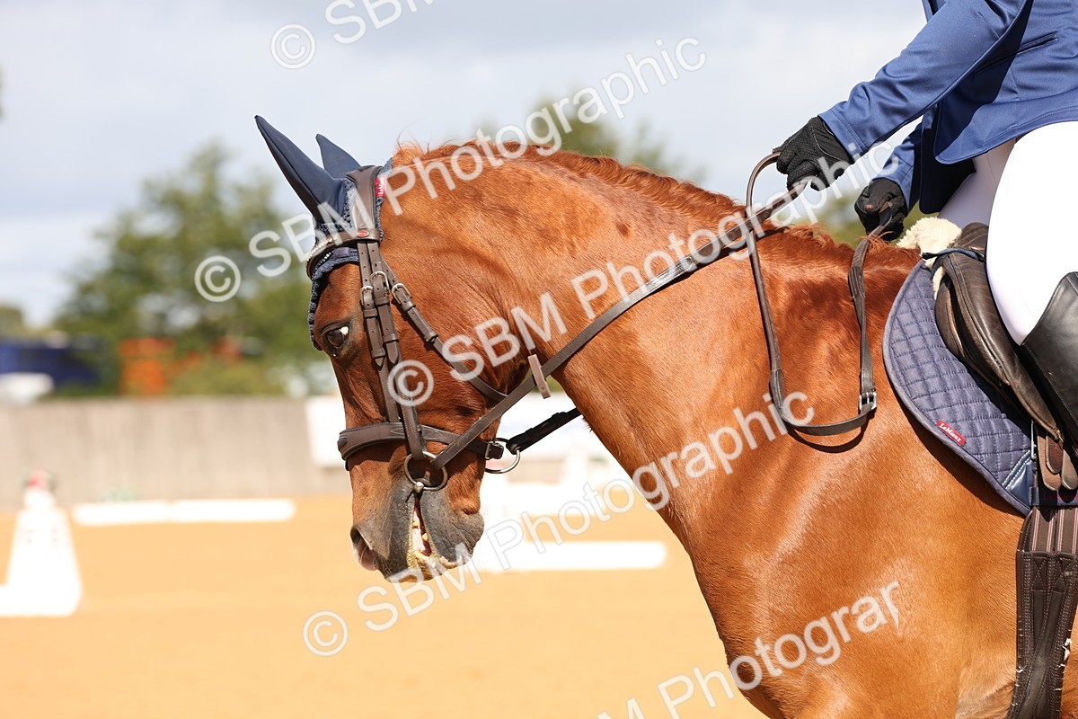 SBM_19459 - D10 - Small Tour Championship Prelim 2