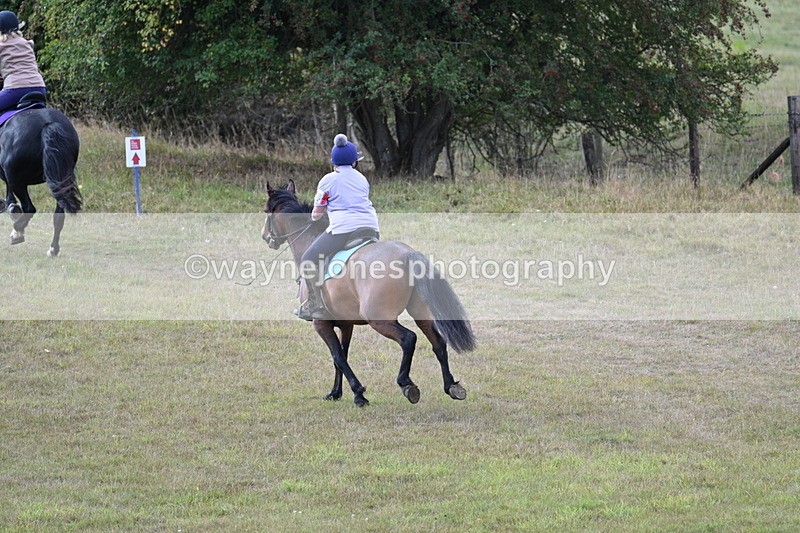 WJ7_4265 - Time 10:54 to 11:16