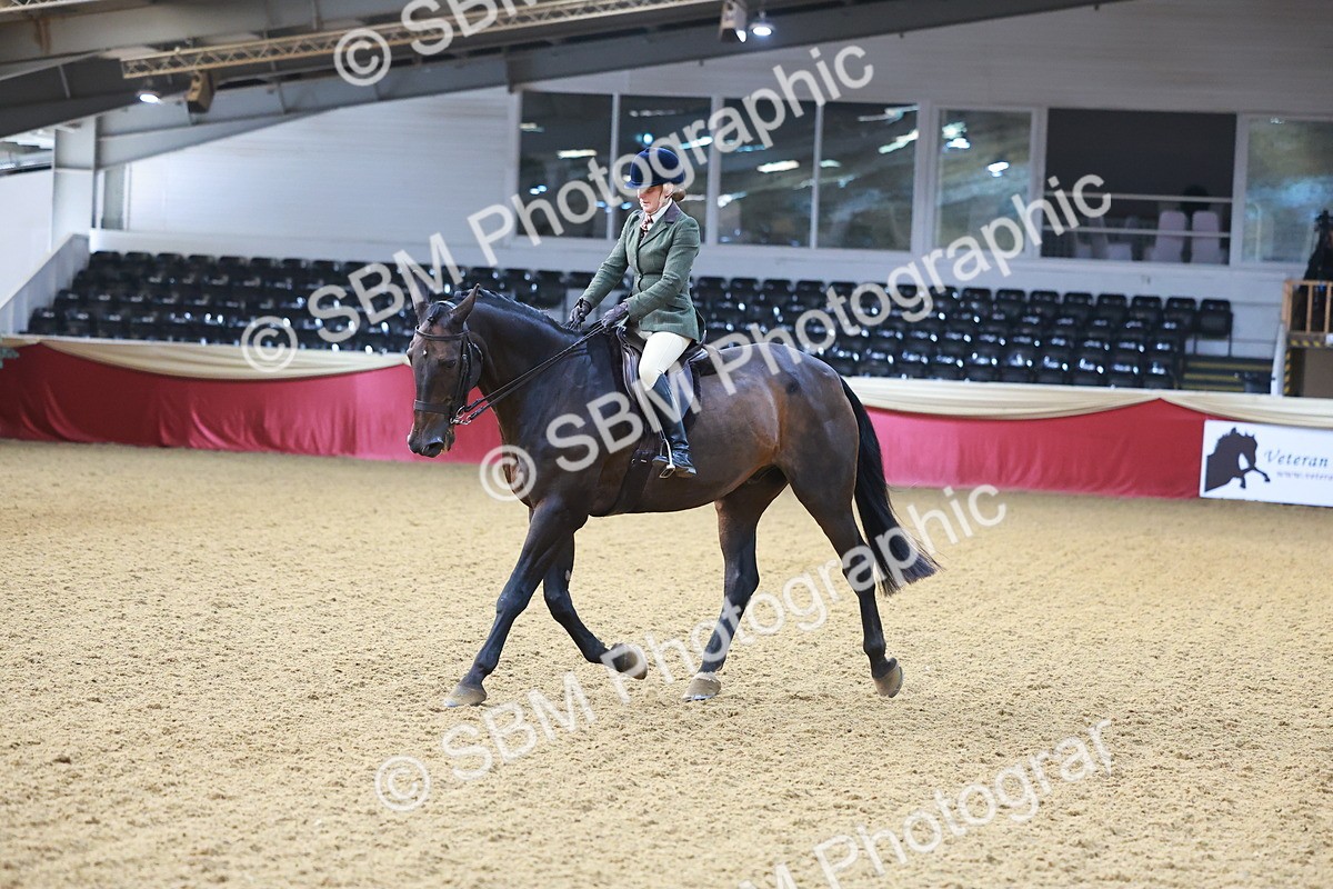 SBM_07688 - Class 101 - HOYS Veteran Qualifier - Ridden Diamond