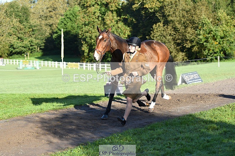 231022-094446-22008 - 450-NORDIC.FIRE-Lara.Hails-TrotUp+SJ