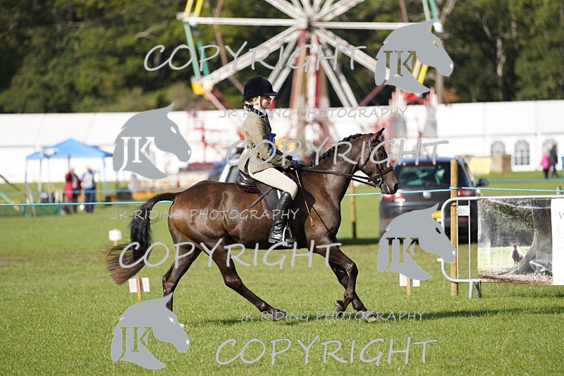 _DSC9595 - Class 8 & 17 Ridden Hunter & Ridden Hunter Pony