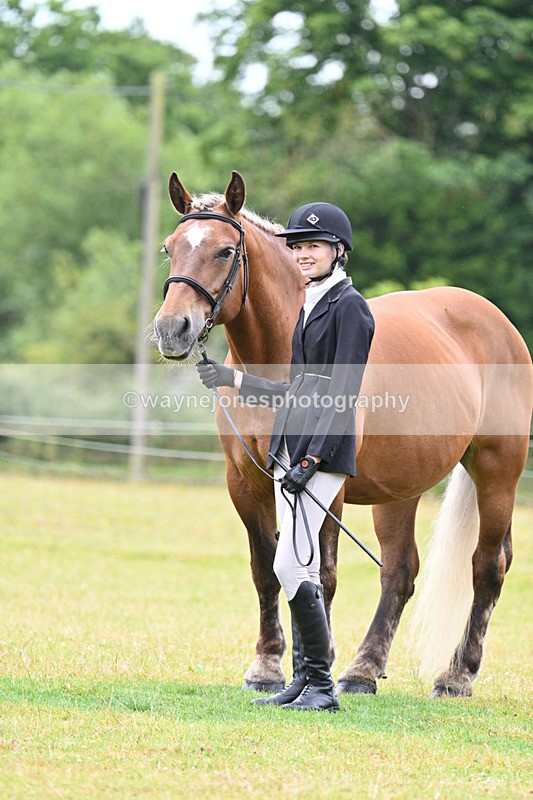 WJ7_6360 - Class 4a Prettiest Mare over 14hh