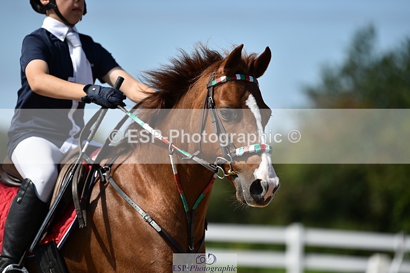 230903A-124312-04525 - Cls 19 Pony Discovery & 90cm Open