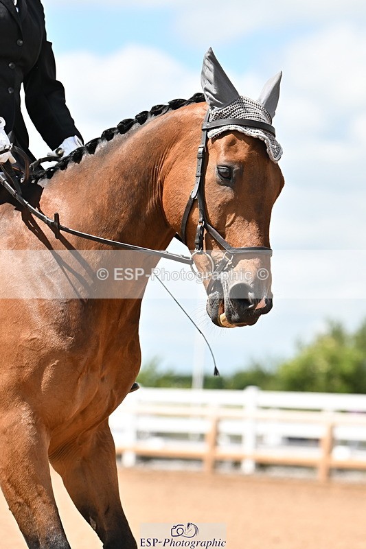 240622A-145702-12000 - Cls 5 Novice 27