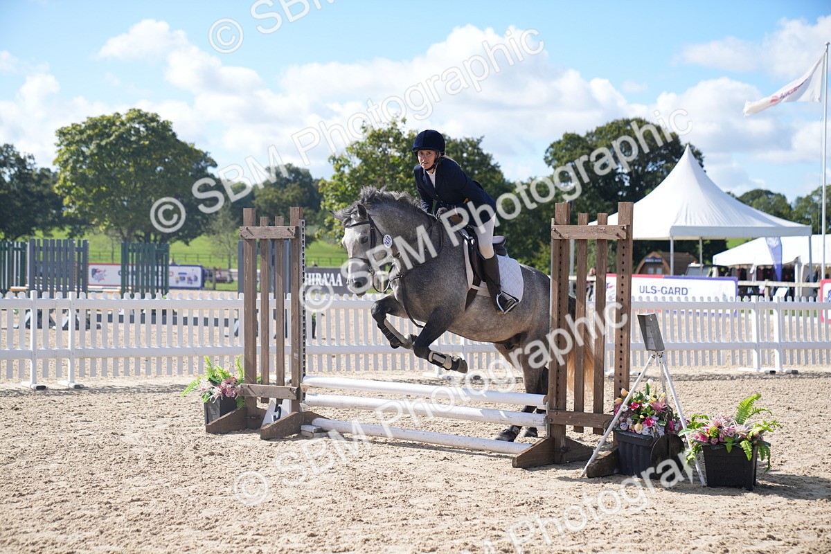 SBM_02512 - J54 Clear Round 45cm