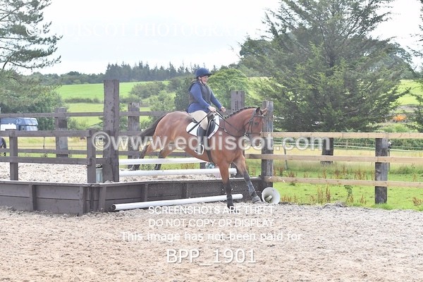 BPP_1901 - DERBY CLASS 5 - 60CM