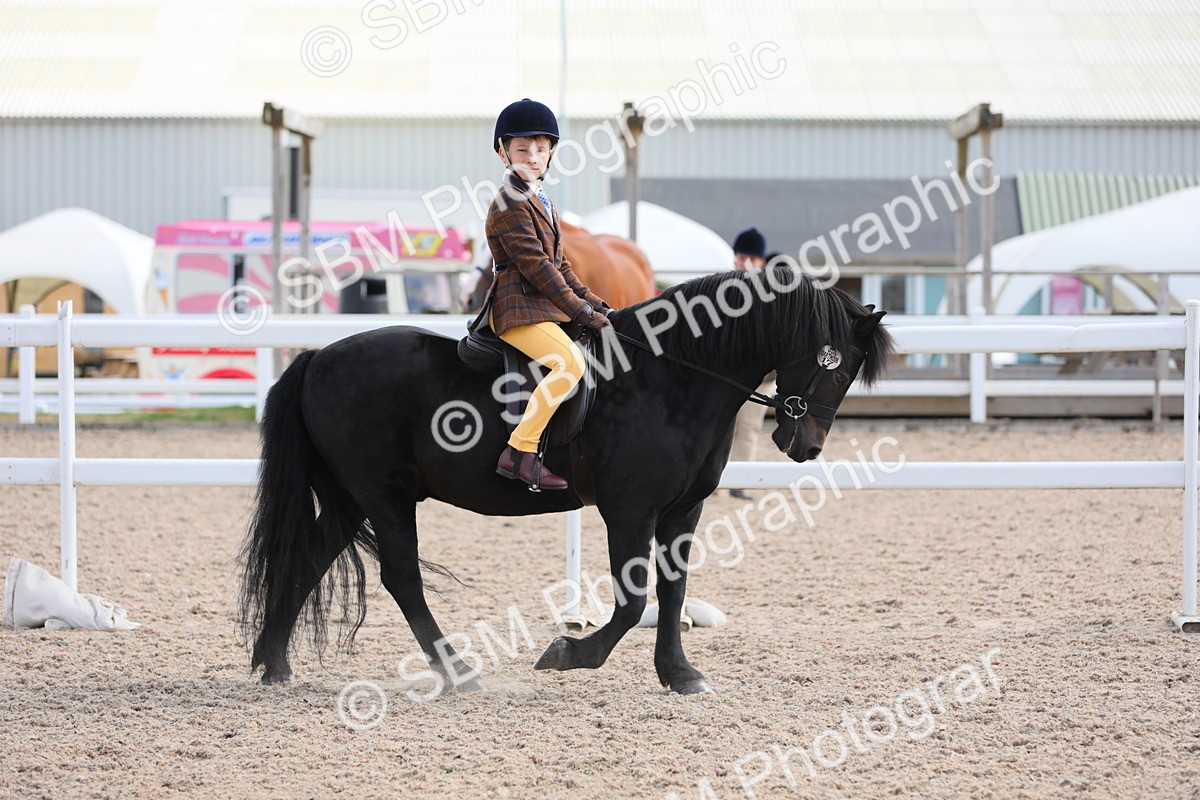 SBM_14681 - Class 310 First Ridden Pony