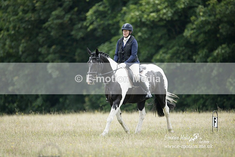 BVRC 030721 435 - Bourne Valley Riding Club Dressage 03/07/21