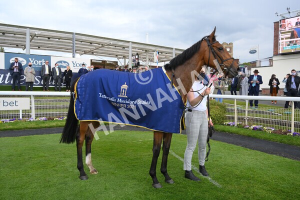 yr12052021r4-51 - Race 4 3.10pm Tattersalls Musidora Stakes