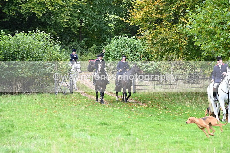 WJ6_0059 - Camera 2 Meet