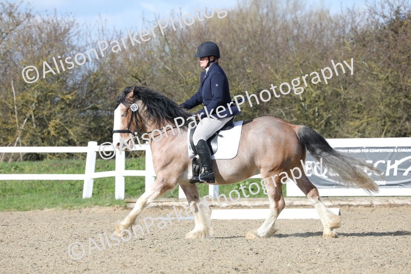 20260314-5009 - CT6 - Elementary 1