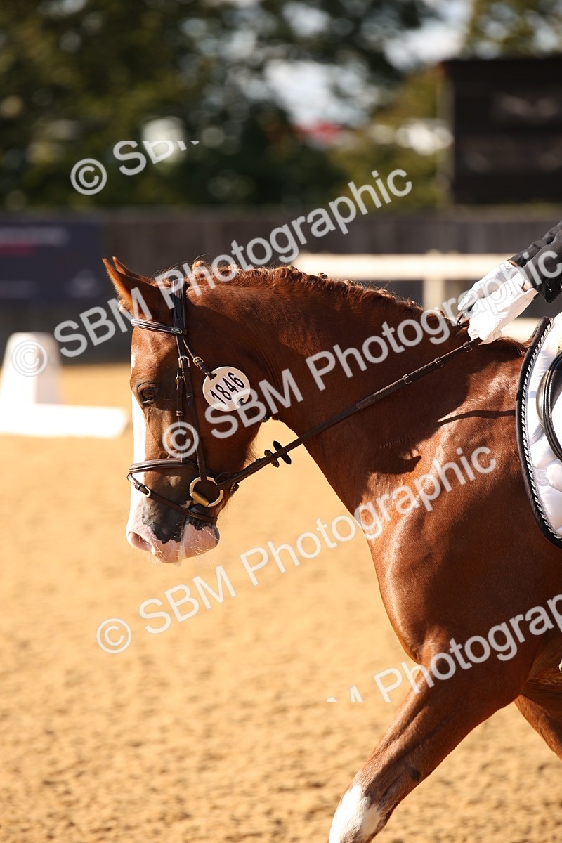 SBM_28263 - D11 - Small Tour Championship - Prelim 13