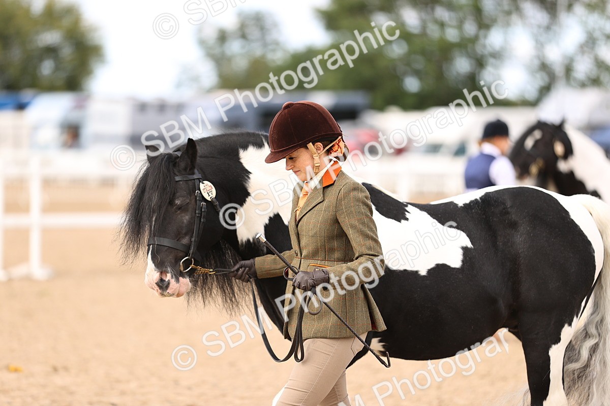 SBM_09307 - Class 404 - IH Traditional - Native Cob