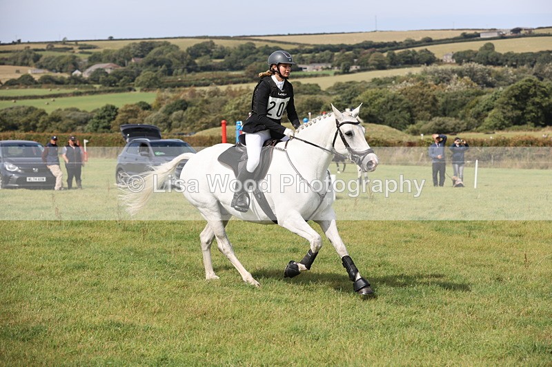 JPP_8572 - Class 2: Trekenning: 80cm Showjumping