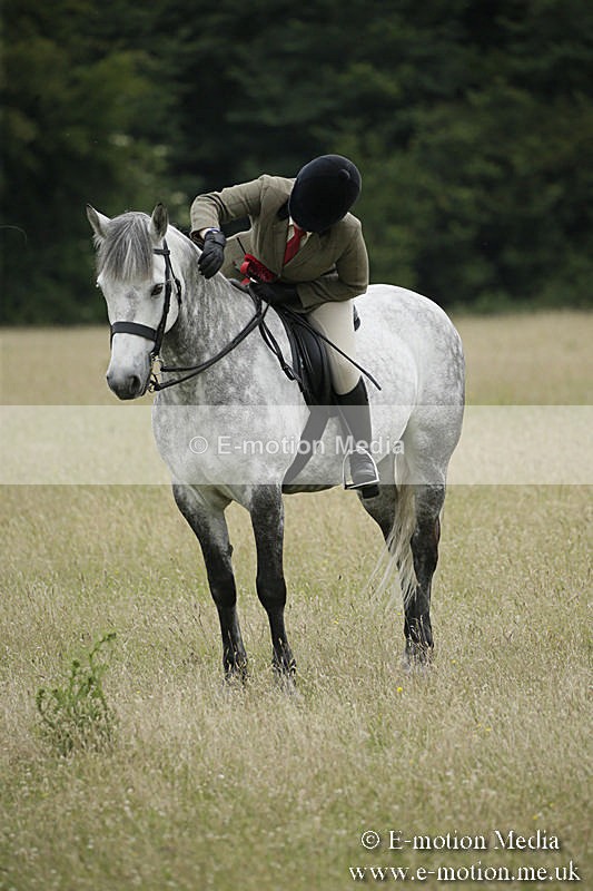 B230619-0911 - Bourne Valley Riding Club Summer Show 23/06/19