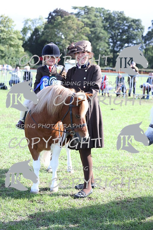 APP_3934 - Class 13 Lead rein