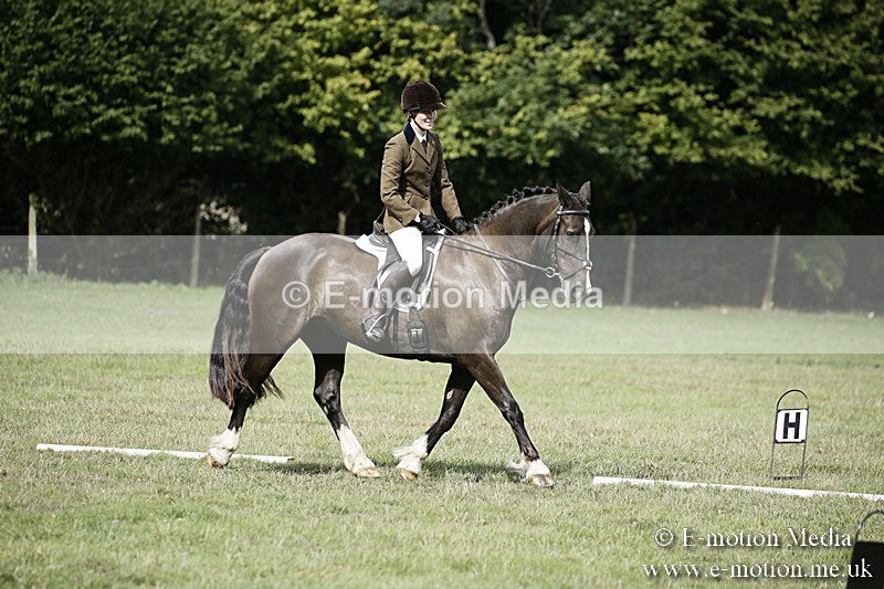 BVR090918 284 - BVRC Dressage and Show Jumping 09/09/18