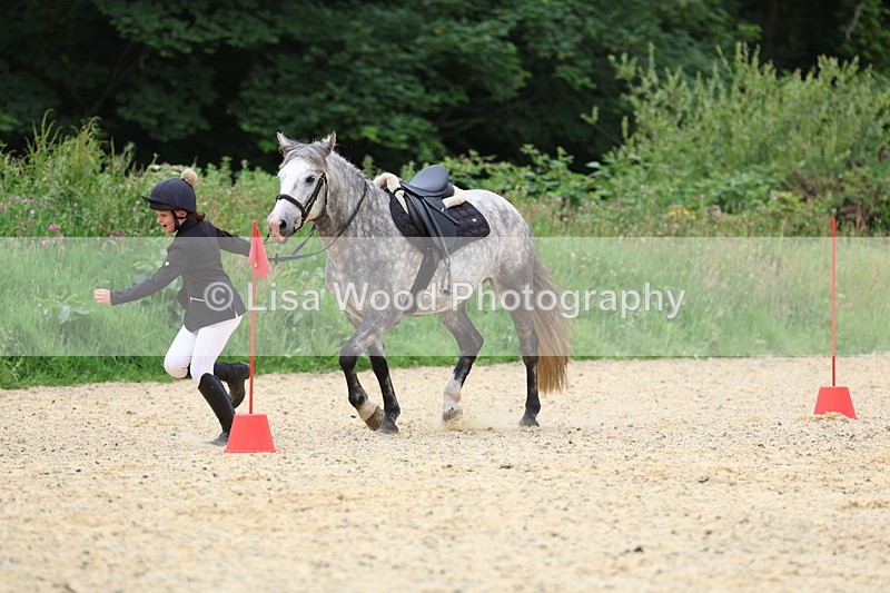 3E7A9591 - Walk trot run