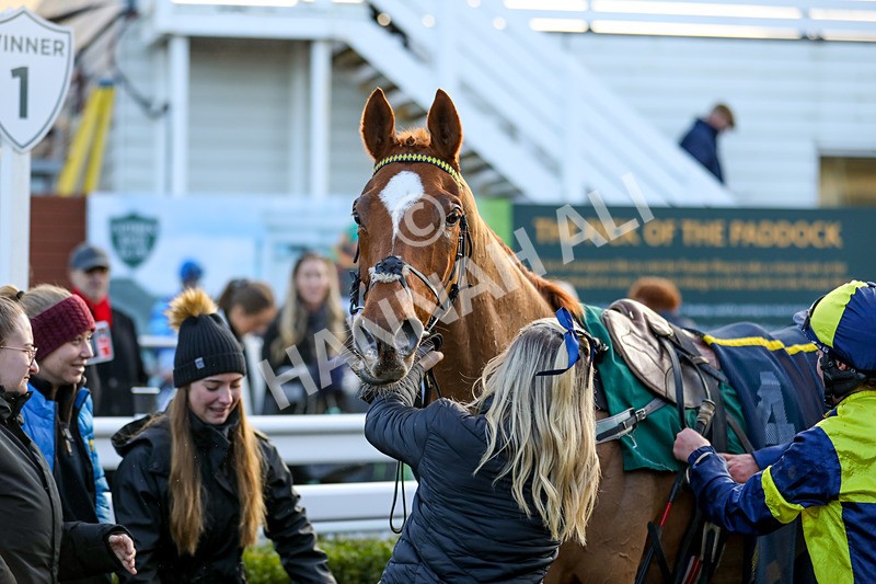 010124-Race 4-Justus-4166 - Race 4