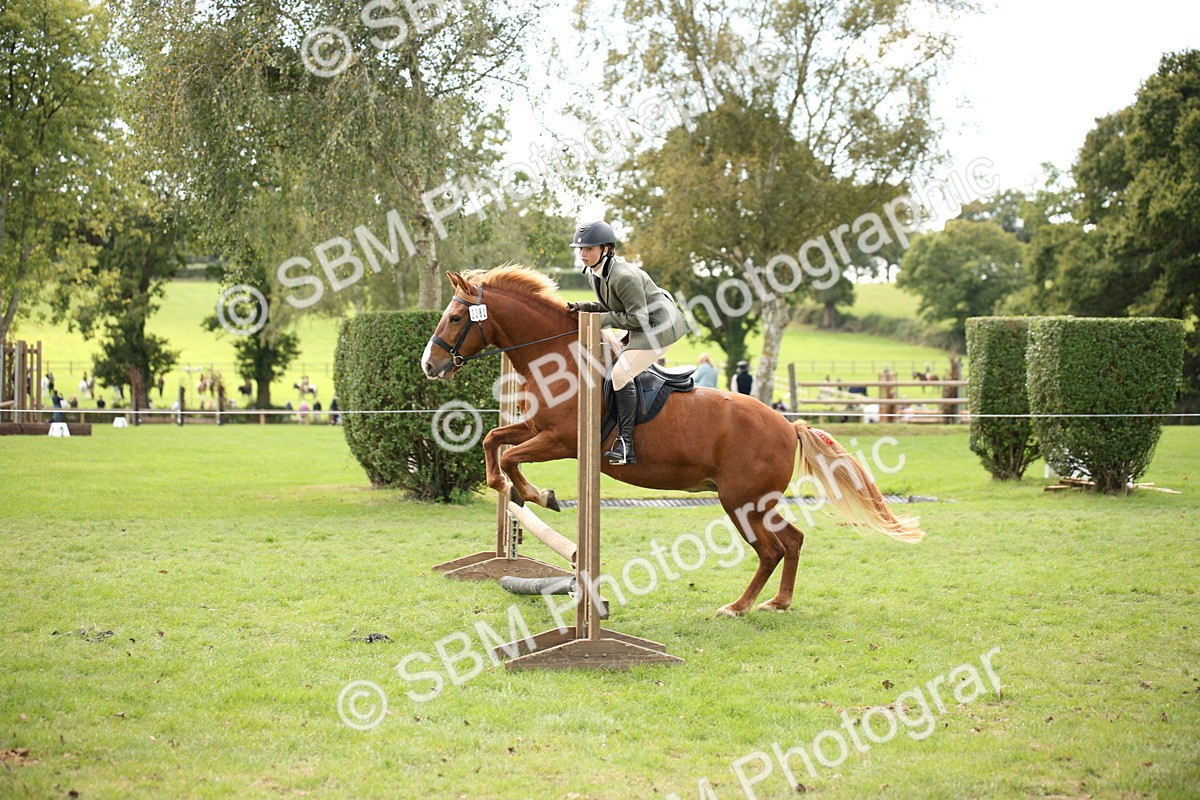 SBM_42372 - S13 - Pony Club Pony
